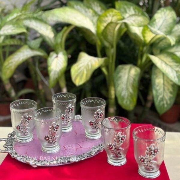Mehmaan Nawazi Set